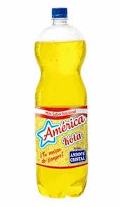 América Kola 2L